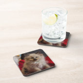 最も可愛い赤ん坊の動物 | Siamese Kitten コースター (右側)