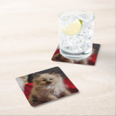 最も可愛い赤ん坊の動物 | Siamese Kitten スクエアペーパーコースター (インサイチュ)