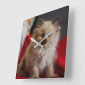 最も可愛い赤ん坊の動物 | Siamese Kitten スクエア壁時計 (傾斜)