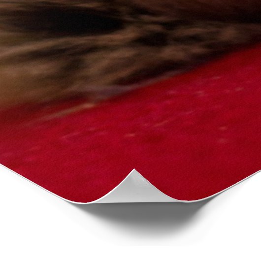 最も可愛い赤ん坊の動物 | Siamese Kitten ポスター (角)