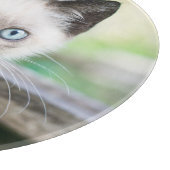 最も可愛い赤ん坊の動物 | Siamese Kitten 2 カッティングボード (角)