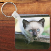 最も可愛い赤ん坊の動物 | Siamese Kitten 2 キーホルダー (正面)