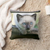 最も可愛い赤ん坊の動物 | Siamese Kitten 2 クッション (ブランケット)