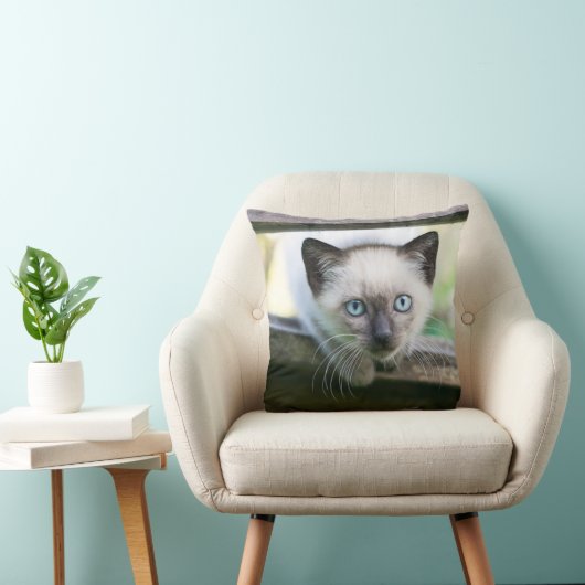最も可愛い赤ん坊の動物 | Siamese Kitten 2 クッション (椅子)