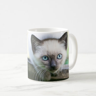 最も可愛い赤ん坊の動物 Siamese Kitten 2 コーヒーマグカップ