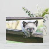 最も可愛い赤ん坊の動物 | Siamese Kitten 2 サンキューカード (スタンド正面)