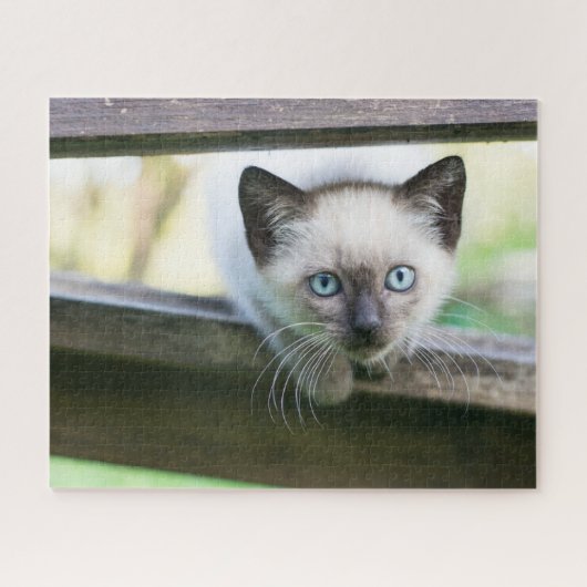 最も可愛い赤ん坊の動物 | Siamese Kitten 2 ジグソーパズル (横)