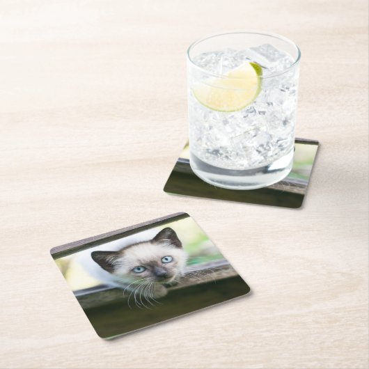 最も可愛い赤ん坊の動物 | Siamese Kitten 2 スクエアペーパーコースター (インサイチュ)