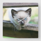 最も可愛い赤ん坊の動物 | Siamese Kitten 2 スクエア壁時計 (正面)