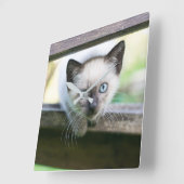 最も可愛い赤ん坊の動物 | Siamese Kitten 2 スクエア壁時計 (傾斜)