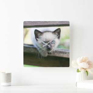 最も可愛い赤ん坊の動物 Siamese Kitten 2 スクエア壁時計