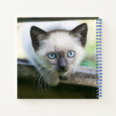 最も可愛い赤ん坊の動物 | Siamese Kitten 2 ノートブック (裏面)