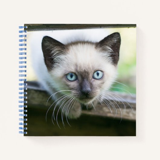 最も可愛い赤ん坊の動物 | Siamese Kitten 2 ノートブック (正面)