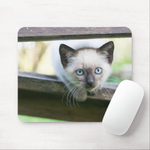 最も可愛い赤ん坊の動物 Siamese Kitten 2 マウスパッド