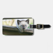 最も可愛い赤ん坊の動物 | Siamese Kitten 2 ラゲッジタグ (正面横)