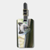 最も可愛い赤ん坊の動物 | Siamese Kitten 2 ラゲッジタグ (正面縦)