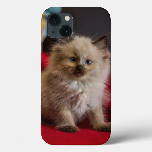 最も可愛い赤ん坊の動物 | Siamese Kitten Case-Mate iPhoneケース (裏面)
