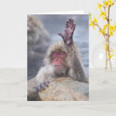 最も可愛い赤ん坊の動物 | Snow Monkey顔 カード (黄色い花)