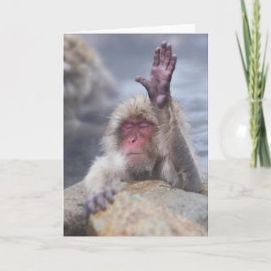最も可愛い赤ん坊の動物 Snow Monkey顔 カード