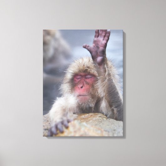 最も可愛い赤ん坊の動物 | Snow Monkey顔 キャンバスプリント (正面)