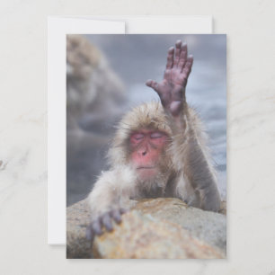 最も可愛い赤ん坊の動物 Snow Monkey顔 サンキューカード