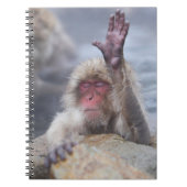 最も可愛い赤ん坊の動物 | Snow Monkey顔 ノートブック (正面)