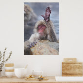 最も可愛い赤ん坊の動物 | Snow Monkey顔 ポスター (キッチン)