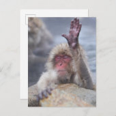 最も可愛い赤ん坊の動物 | Snow Monkey顔 ポストカード (正面/裏面)