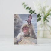 最も可愛い赤ん坊の動物 | Snow Monkey顔 ポストカード (スタンド正面)