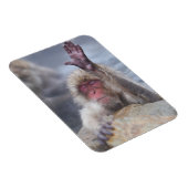 最も可愛い赤ん坊の動物 | Snow Monkey顔 マグネット (右側)