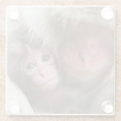 最も可愛い赤ん坊の動物 | Snow Monkey ガラスコースター (裏面)