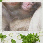 最も可愛い赤ん坊の動物 | Snow Monkey キッチンタオル (折り畳み)