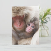 最も可愛い赤ん坊の動物 | Snow Monkey サンキューカード (スタンド正面)