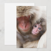 最も可愛い赤ん坊の動物 | Snow Monkey サンキューカード (正面/裏面)