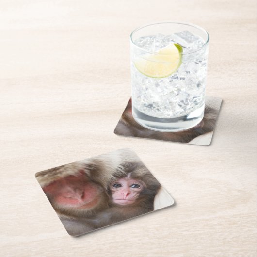 最も可愛い赤ん坊の動物 | Snow Monkey スクエアペーパーコースター (インサイチュ)