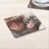 最も可愛い赤ん坊の動物 | Snow Monkey スクエアペーパーコースター (アングル)