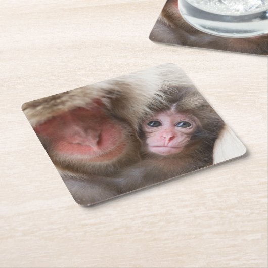 最も可愛い赤ん坊の動物 | Snow Monkey スクエアペーパーコースター (アングル)