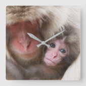 最も可愛い赤ん坊の動物 | Snow Monkey スクエア壁時計 (正面)