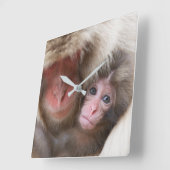 最も可愛い赤ん坊の動物 | Snow Monkey スクエア壁時計 (傾斜)