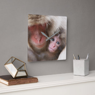 最も可愛い赤ん坊の動物 Snow Monkey スクエア壁時計
