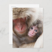 最も可愛い赤ん坊の動物 | Snow Monkey ポストカード (正面/裏面)