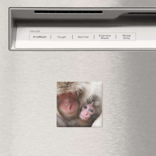 最も可愛い赤ん坊の動物 | Snow Monkey マグネット (インサイチュ (食洗機))