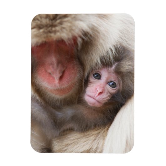 最も可愛い赤ん坊の動物 | Snow Monkey マグネット (縦)