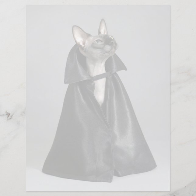 最も可愛い赤ん坊の動物 | Sphynx Hairless Cat (正面)