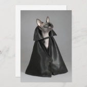 最も可愛い赤ん坊の動物 | Sphynx Hairless Cat サンキューカード (正面/裏面)