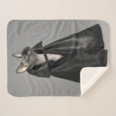 最も可愛い赤ん坊の動物 | Sphynx Hairless Cat シェルパブランケット (正面(横))