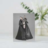 最も可愛い赤ん坊の動物 | Sphynx Hairless Cat ポストカード (スタンド正面)