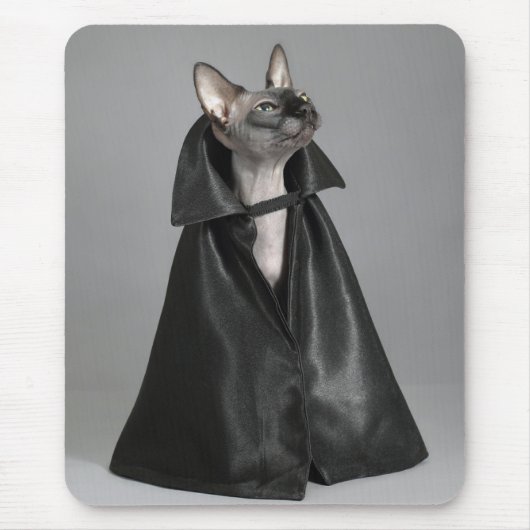 最も可愛い赤ん坊の動物 | Sphynx Hairless Cat マウスパッド (正面)