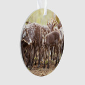 最も可愛い赤ん坊の動物 | Svalbard Reindeer オーナメント (正面)