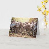 最も可愛い赤ん坊の動物 | Svalbard Reindeer カード (黄色い花)